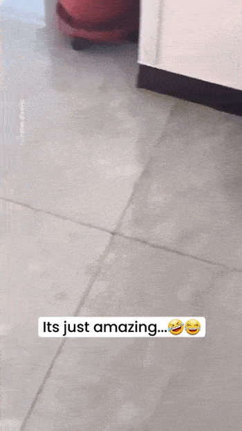 Daily Gifdump Daily Gifdump