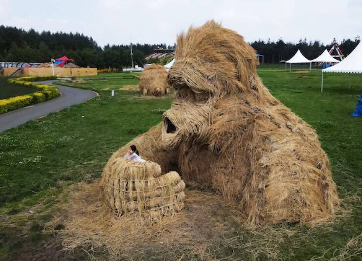 Daily Picdump