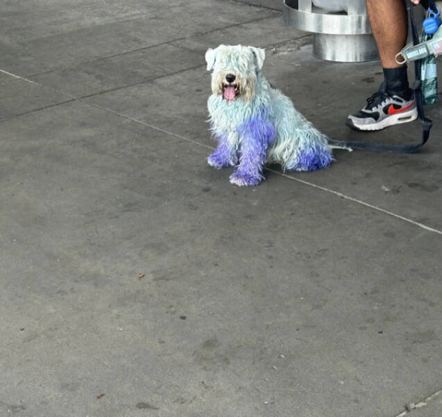 Fascinating Moments Caught on Camera