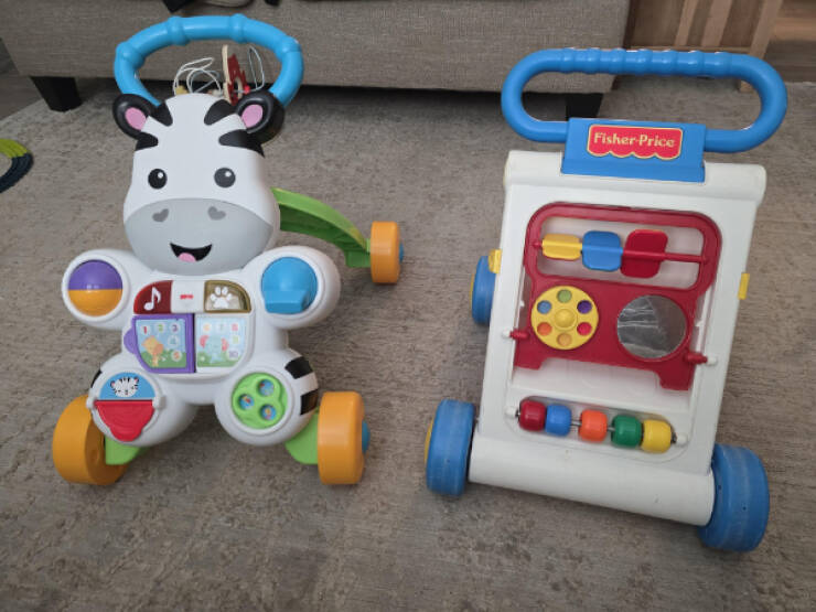 Fascinating Moments Caught on Camera