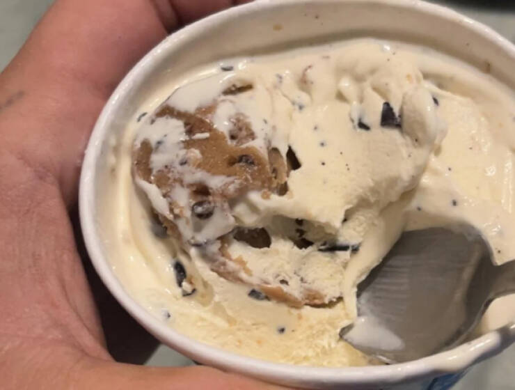 Fascinating Moments Caught on Camera