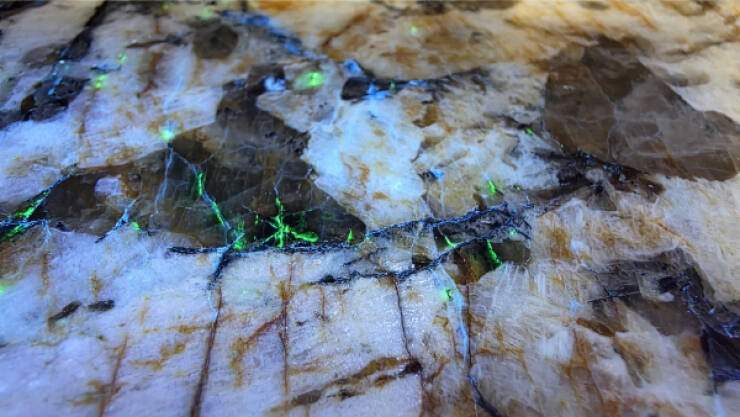 Fascinating Moments Caught on Camera