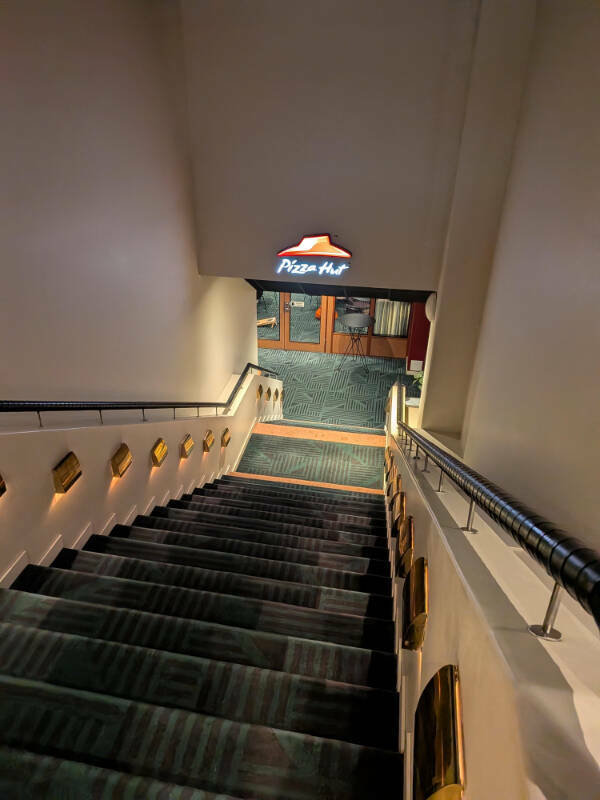 Fascinating Moments Caught on Camera