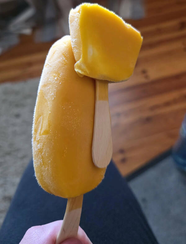 Fascinating Moments Caught on Camera