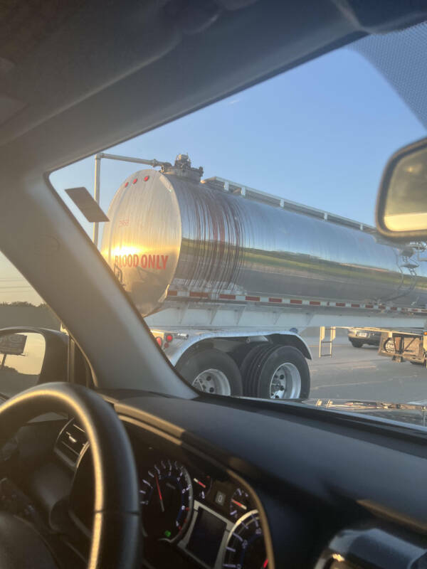 Fascinating Moments Caught on Camera