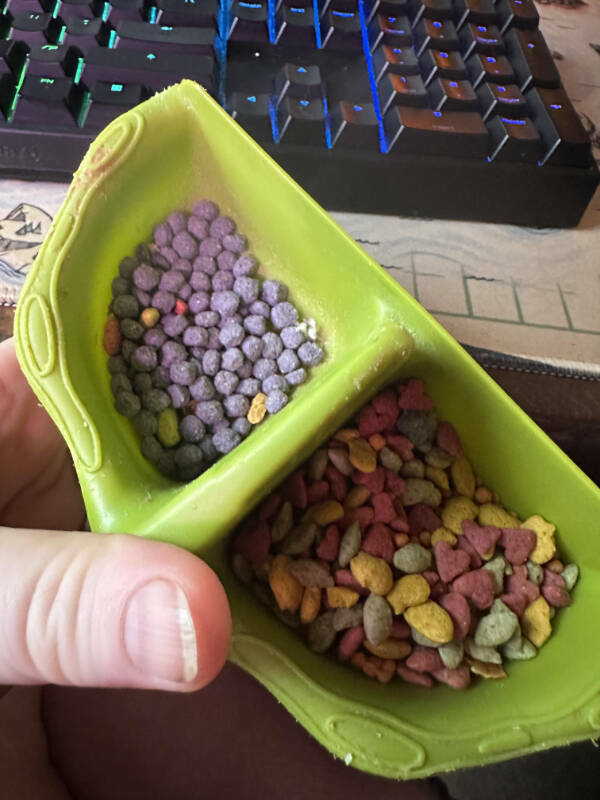 Fascinating Moments Caught on Camera