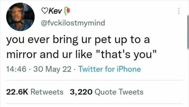 Screenshots That Belong in the Hall of LOLs