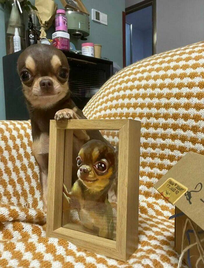 The Cutest Dogs Ever