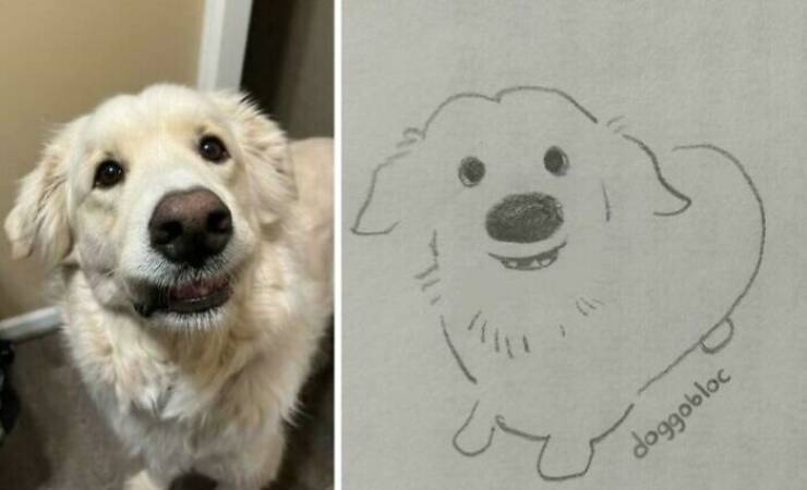 The Cutest Dogs Ever