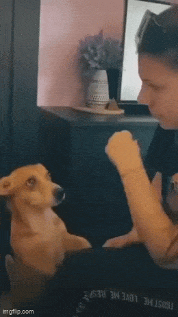 Daily Gifdump Daily Gifdump