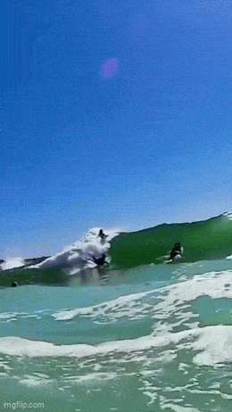 Daily Gifdump Daily Gifdump