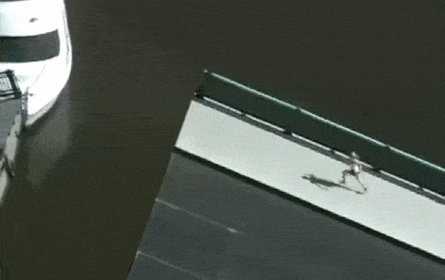 Daily Gifdump Daily Gifdump