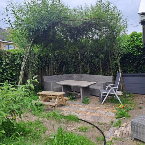 Country Living Projects That Feel Like a Hug