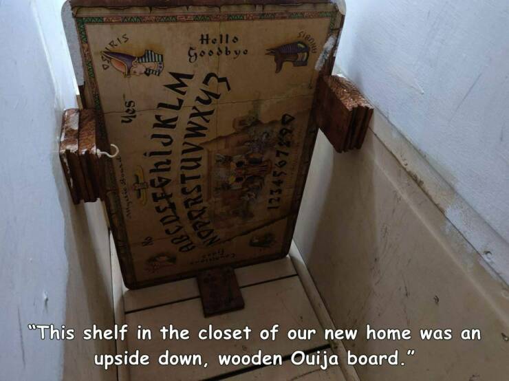 Daily Picdump Daily Picdump