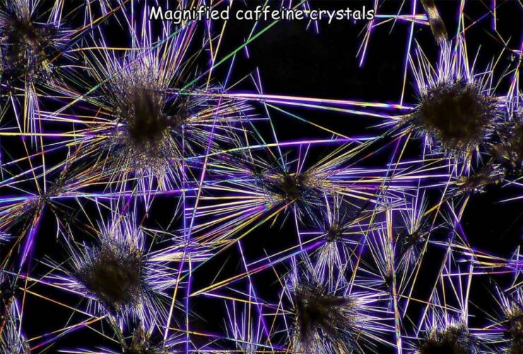 Daily Picdump Daily Picdump