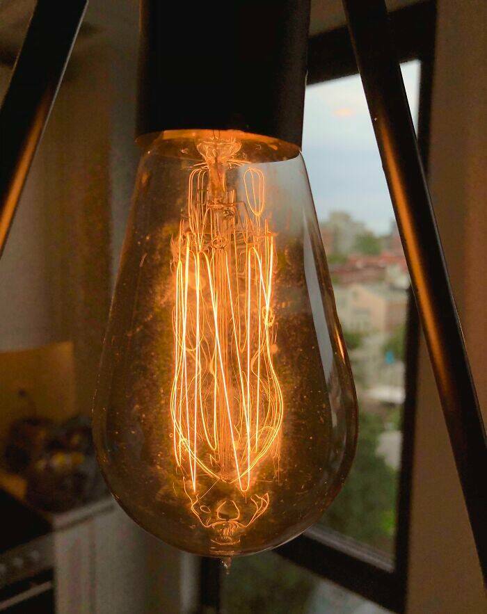 Strange Treasures Hidden in Old Homes