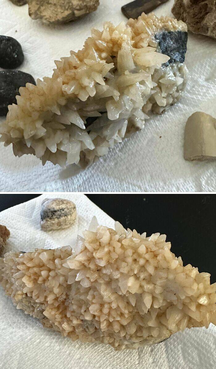 Strange Treasures Hidden in Old Homes