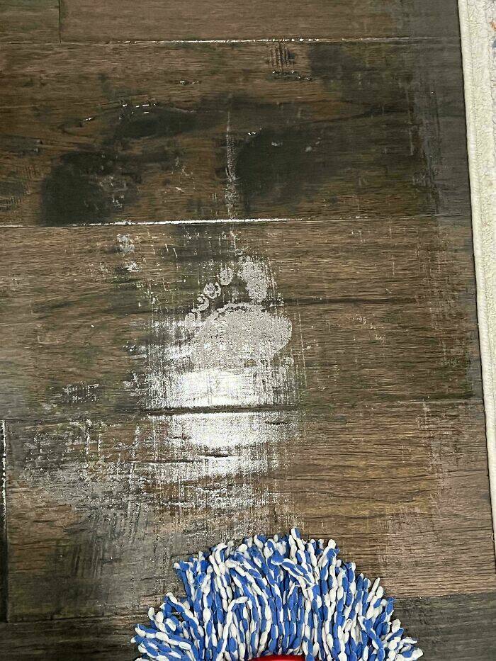 Strange Treasures Hidden in Old Homes