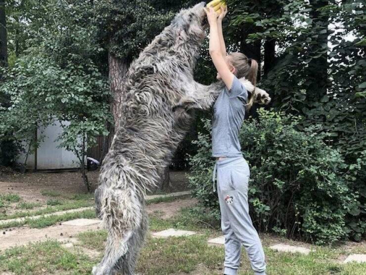 Supersized Stuff That’s Hard to Believe