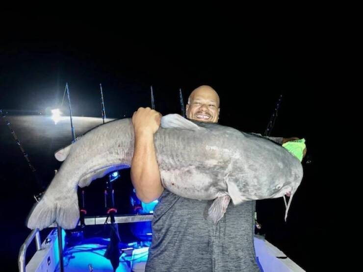 Supersized Stuff That’s Hard to Believe