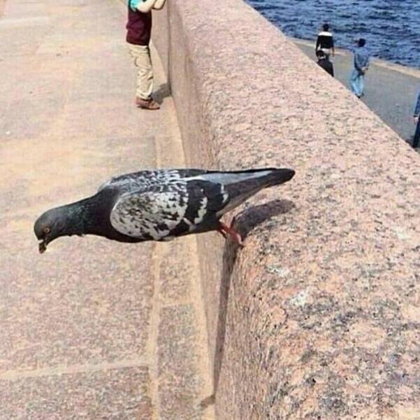 Cursed Pics You Can’t Unsee