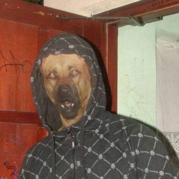 Cursed Pics You Can’t Unsee