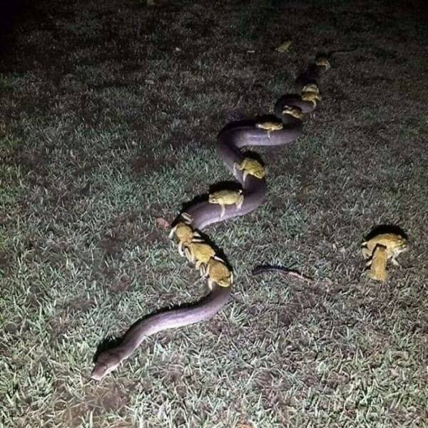 Cursed Pics You Can’t Unsee