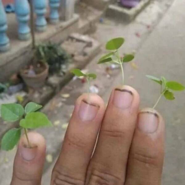 Cursed Pics You Can’t Unsee