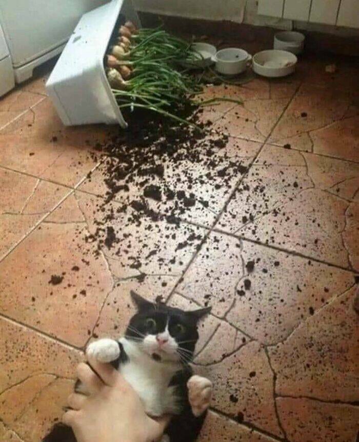 Cursed Pics You Can’t Unsee