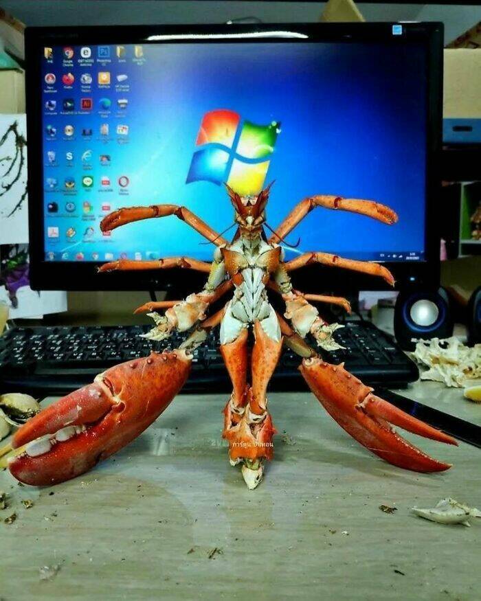 Cursed Pics You Can’t Unsee