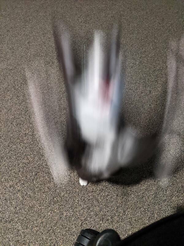 Fast, Furry, and Out of Focus