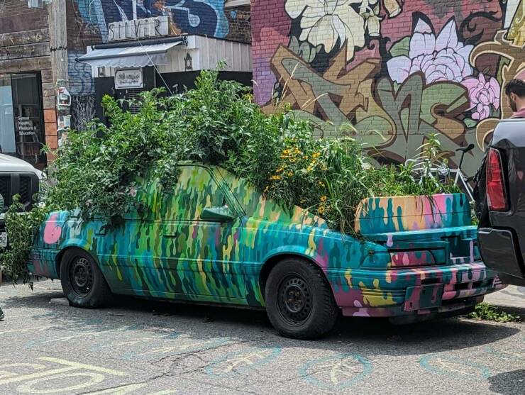 Morning Picdump Morning Picdump