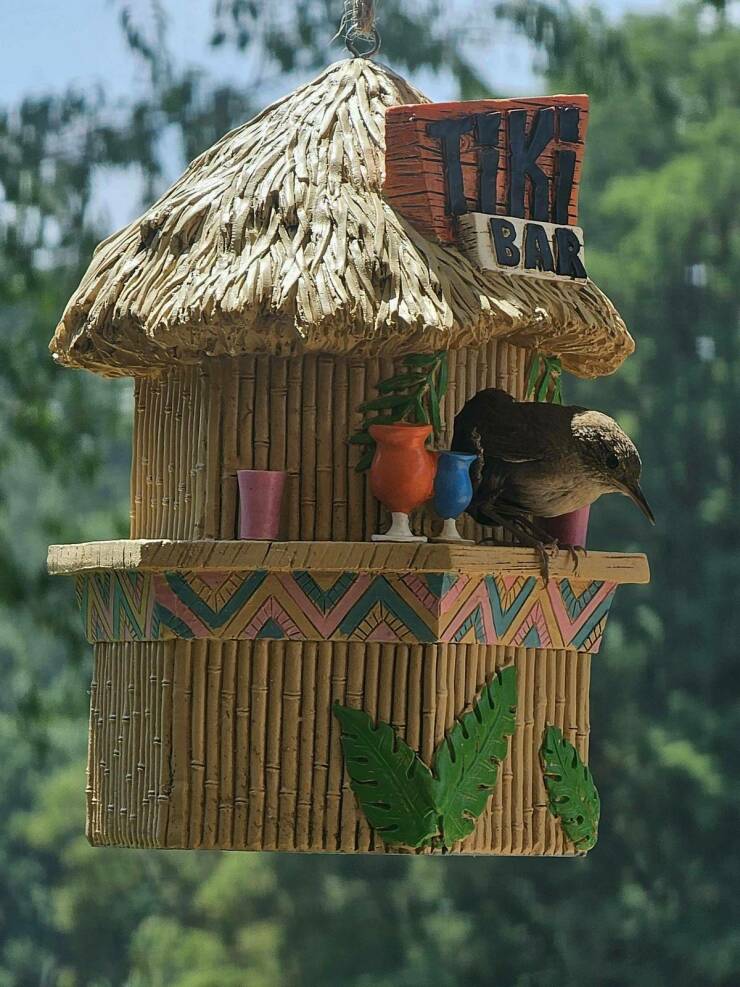 Morning Picdump Morning Picdump