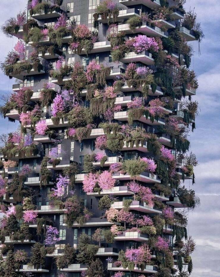 Morning Picdump Morning Picdump