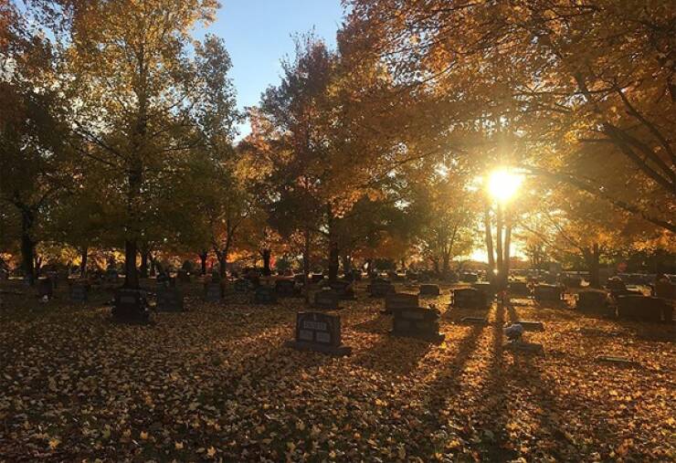 Surprising Origins of Common Expressions