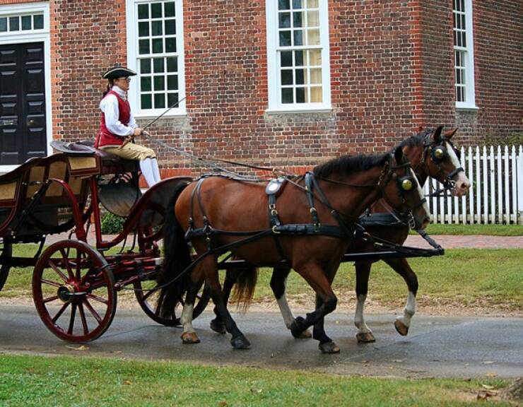 Surprising Origins of Common Expressions