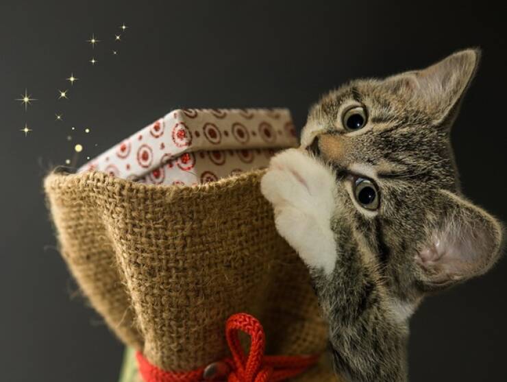 Surprising Origins of Common Expressions