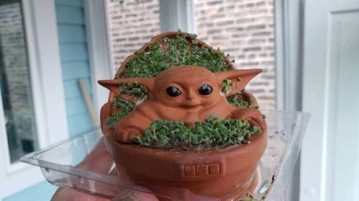 Things You Don’t Need but Desperately Crave