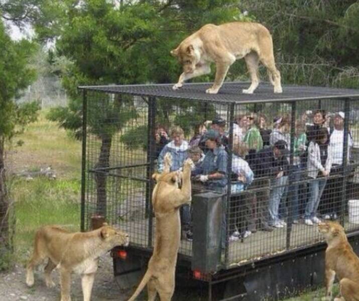 Daily Picdump Daily Picdump