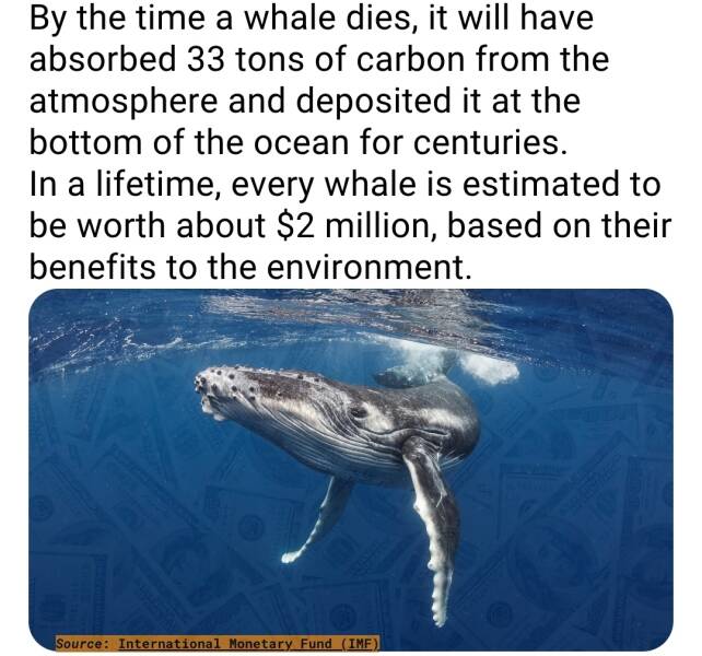 Daily Picdump Daily Picdump