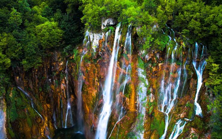 Daily Picdump Daily Picdump