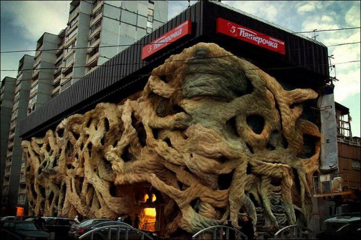 Daily Picdump Daily Picdump