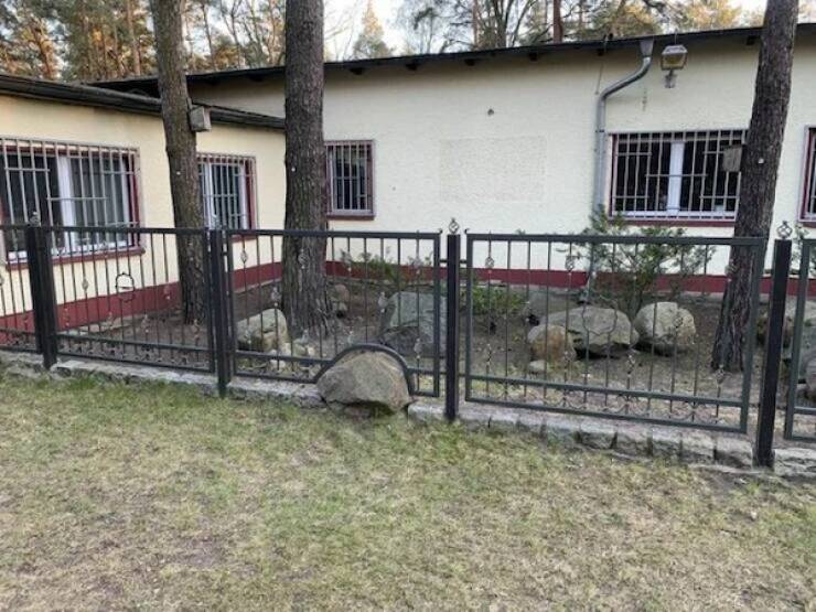 Daily Picdump Daily Picdump