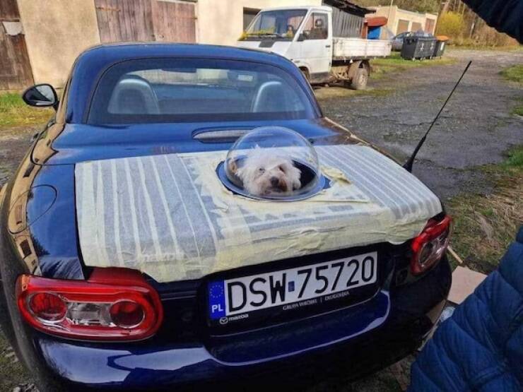 Daily Picdump Daily Picdump