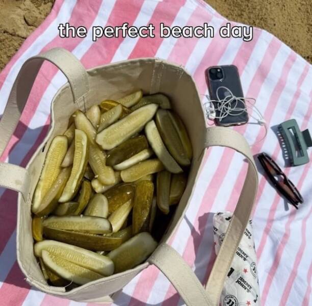 Daily Picdump Daily Picdump