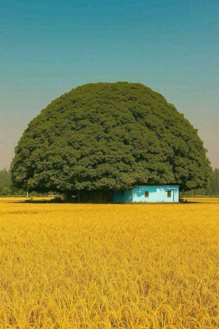 Daily Picdump Daily Picdump