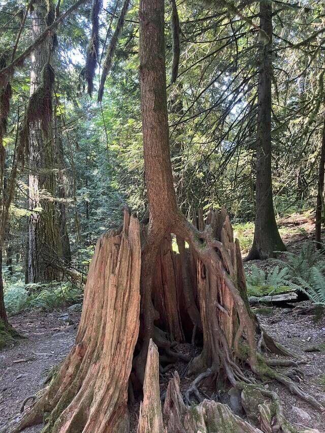 Daily Picdump Daily Picdump