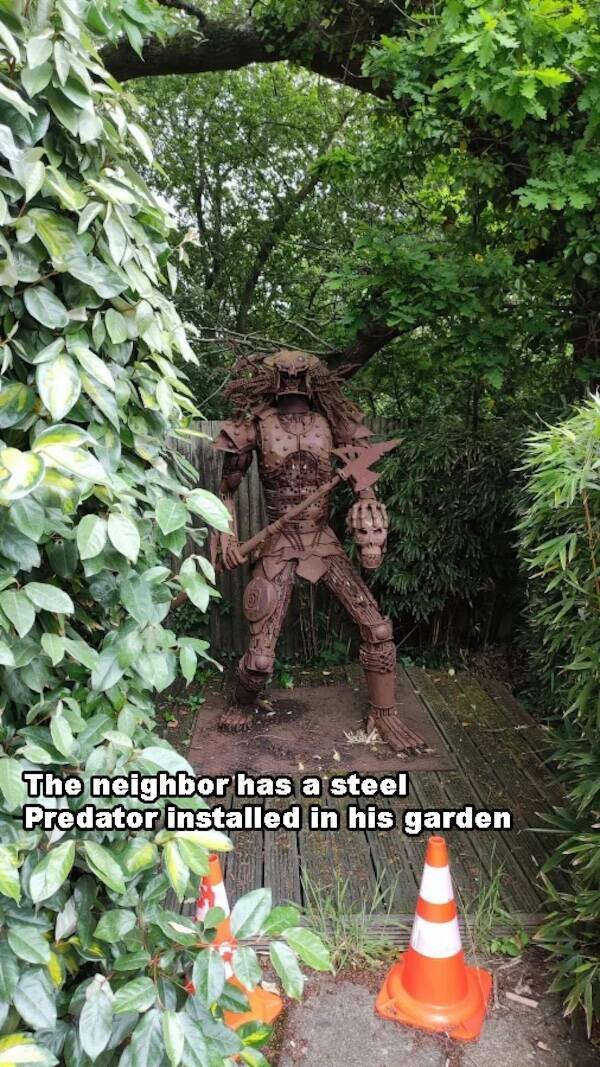 Daily Picdump Daily Picdump