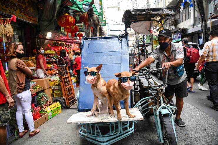 Morning Picdump Morning Picdump