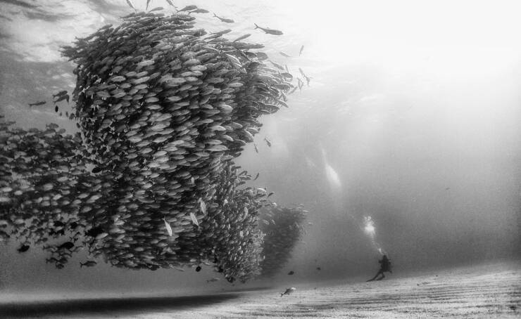 Morning Picdump Morning Picdump